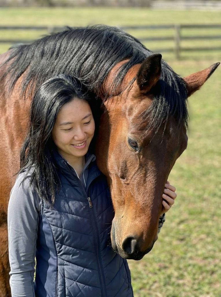 Person with horse in meadow